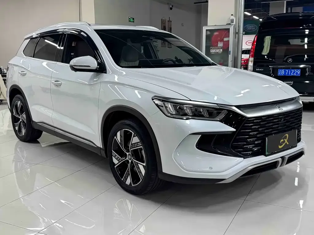 BYD Pro New Energy — фото 4