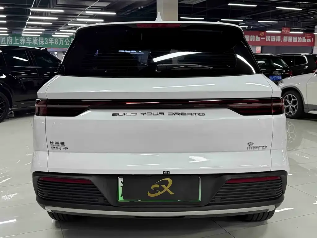 BYD Pro New Energy — фото 10