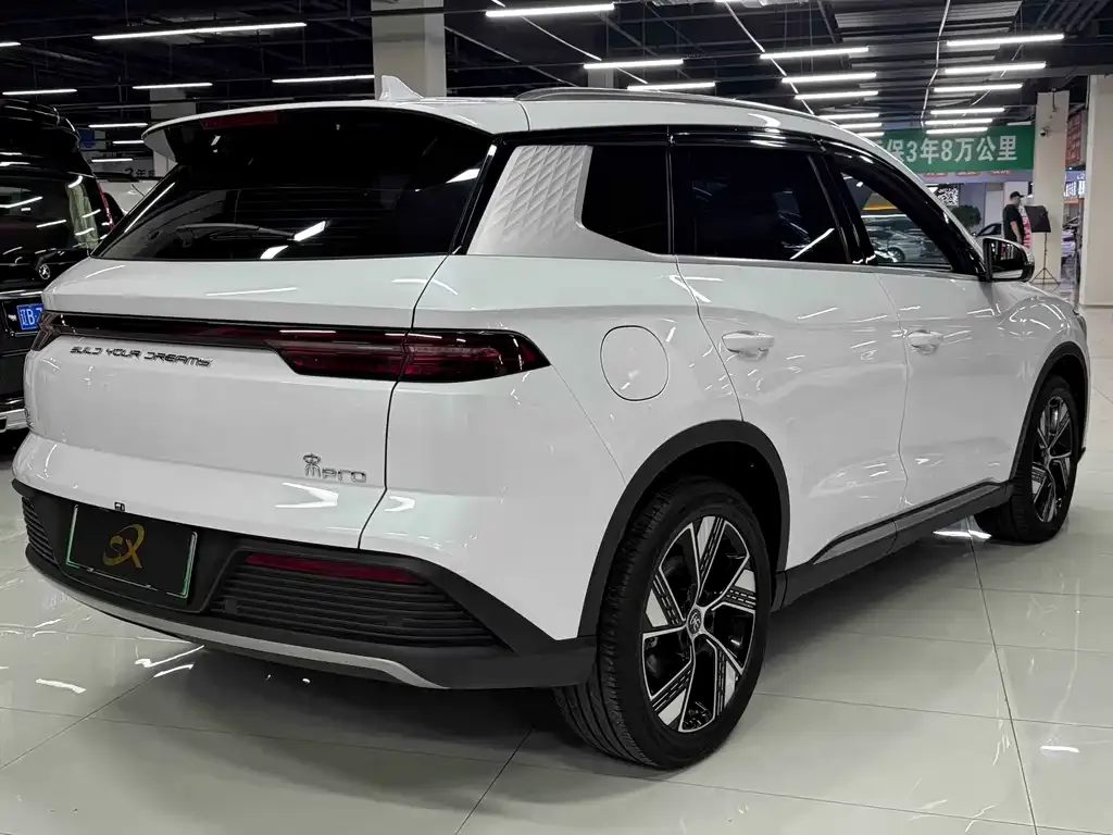 BYD Pro New Energy — фото 3