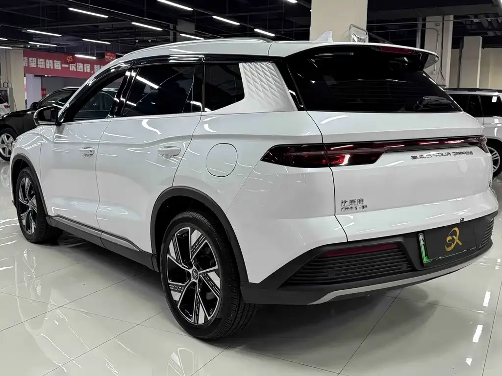 BYD Pro New Energy — фото 5