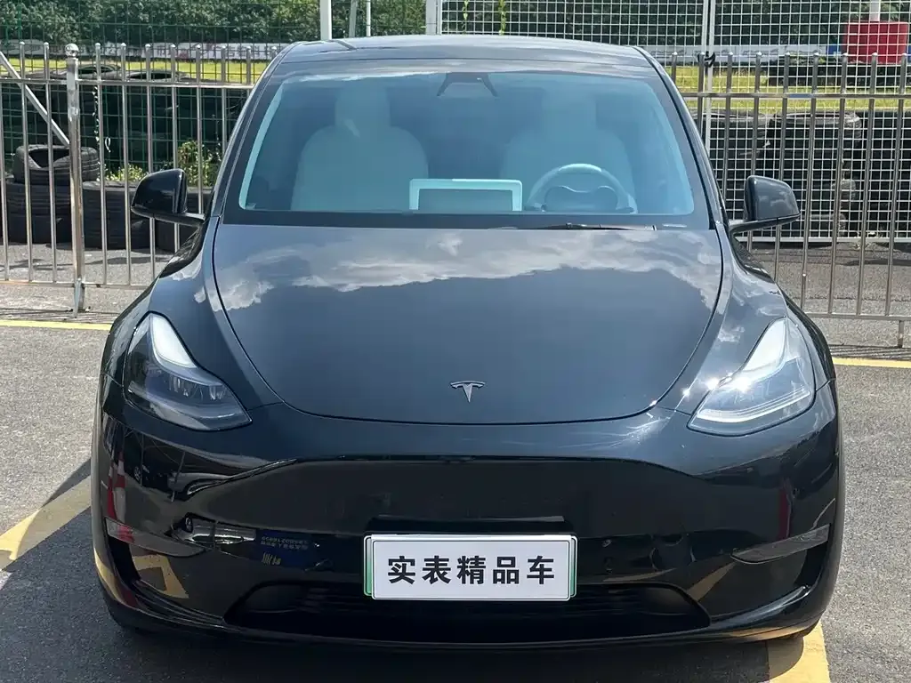 Tesla Model Y — фото 3