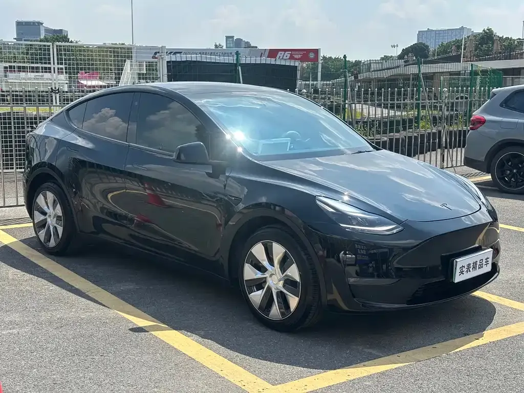 Tesla Model Y — фото 10