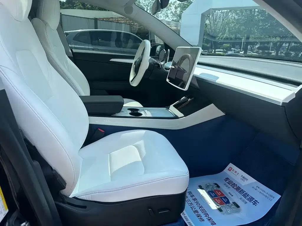 Tesla Model Y — фото 5