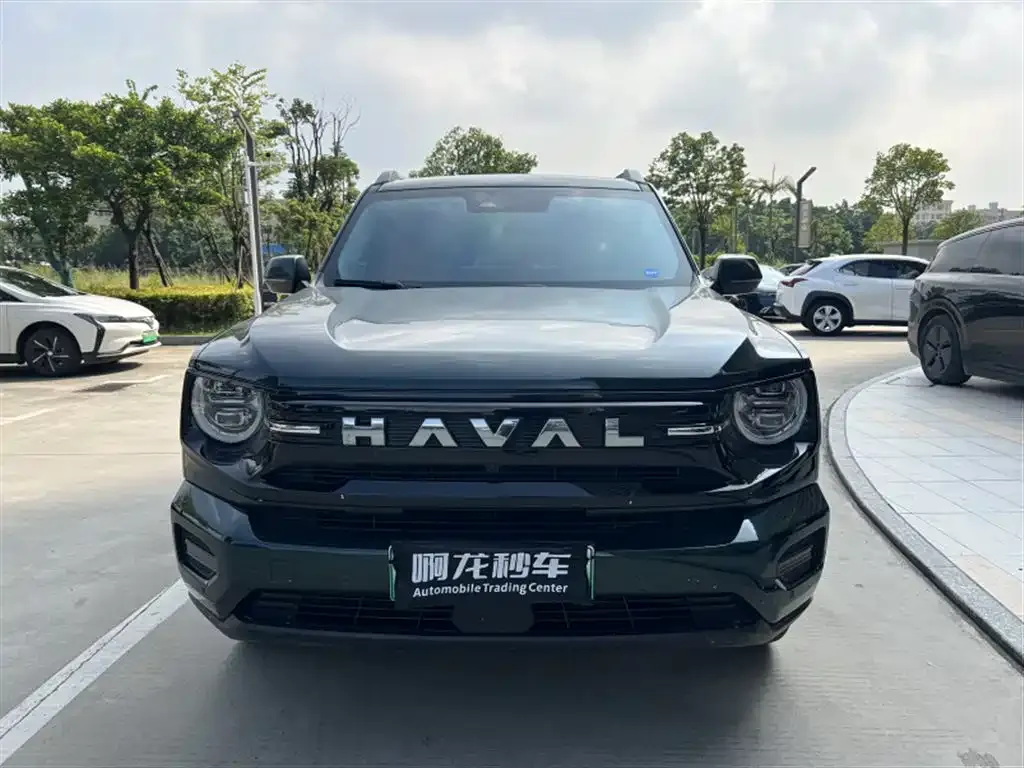 Haval Big Dog PLUS New Energy — фото 3