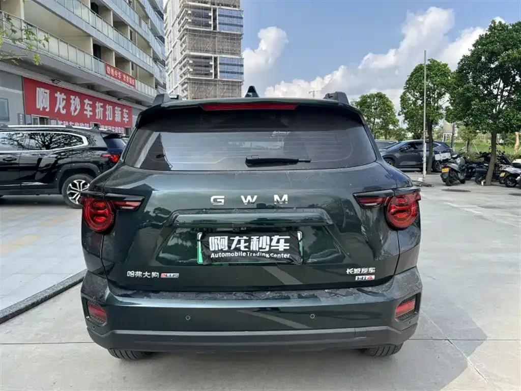 Haval Big Dog PLUS New Energy — фото 5