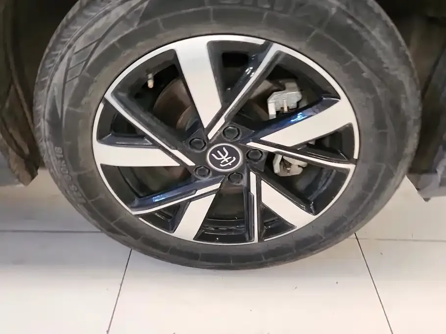 BYD Pro New Energy — фото 2
