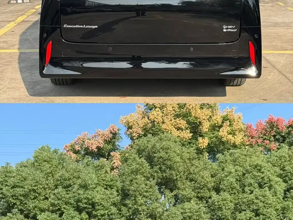 Toyota Alphard — фото 7