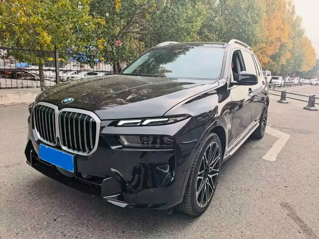 BMW X7 — фото 1
