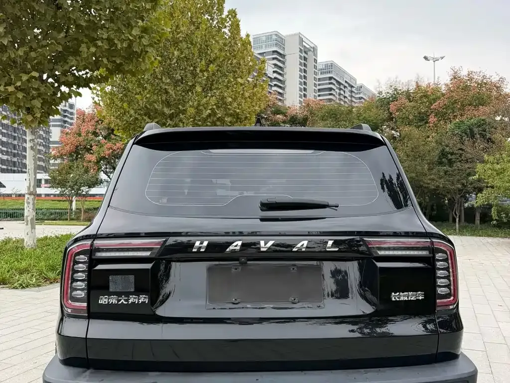 Haval Big Dog — фото 7