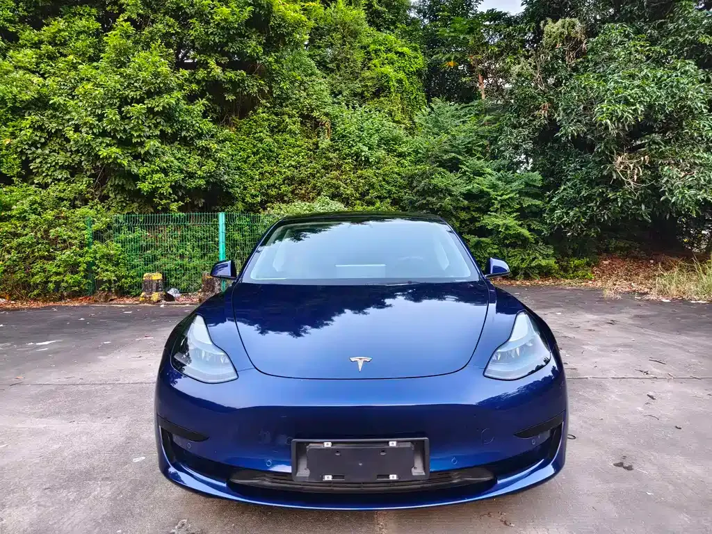 Tesla Model 3 — фото 2