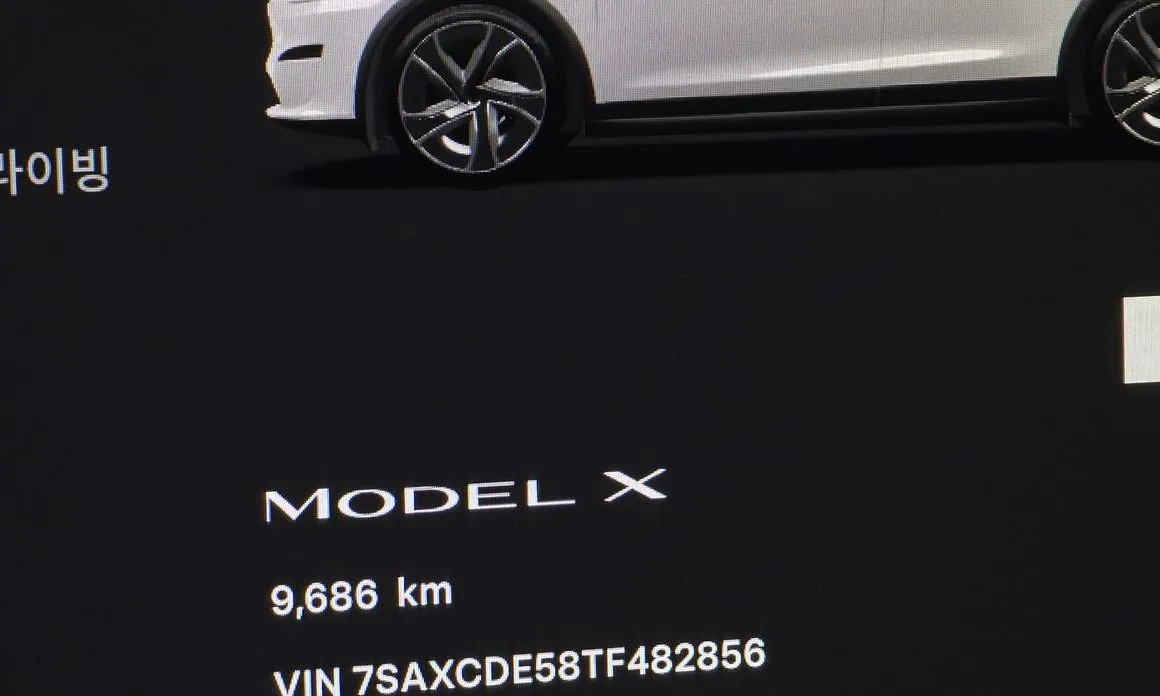 Tesla Model X — фото 8