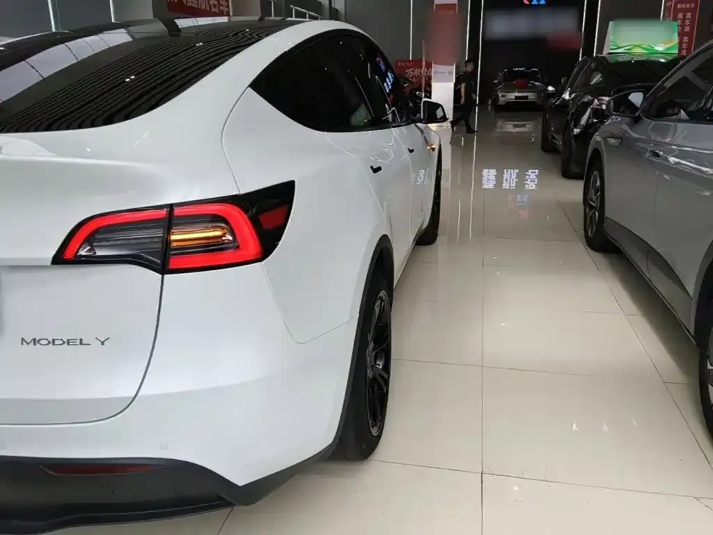 Tesla Model Y — фото 9