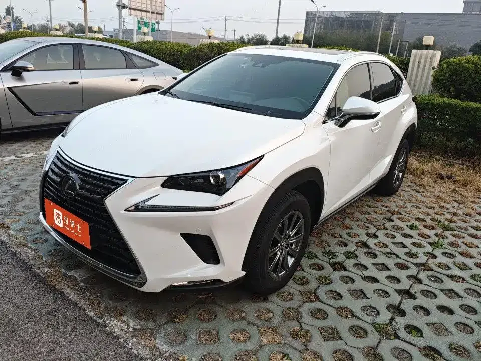 Lexus NX — фото 1