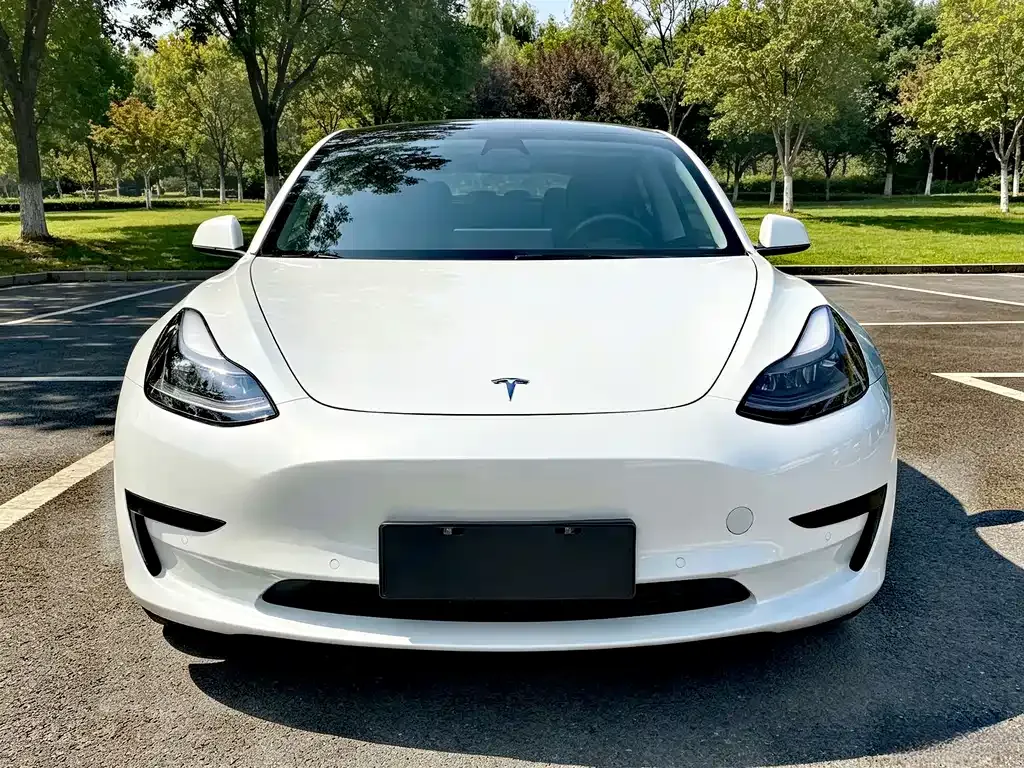 Tesla Model 3 — фото 4