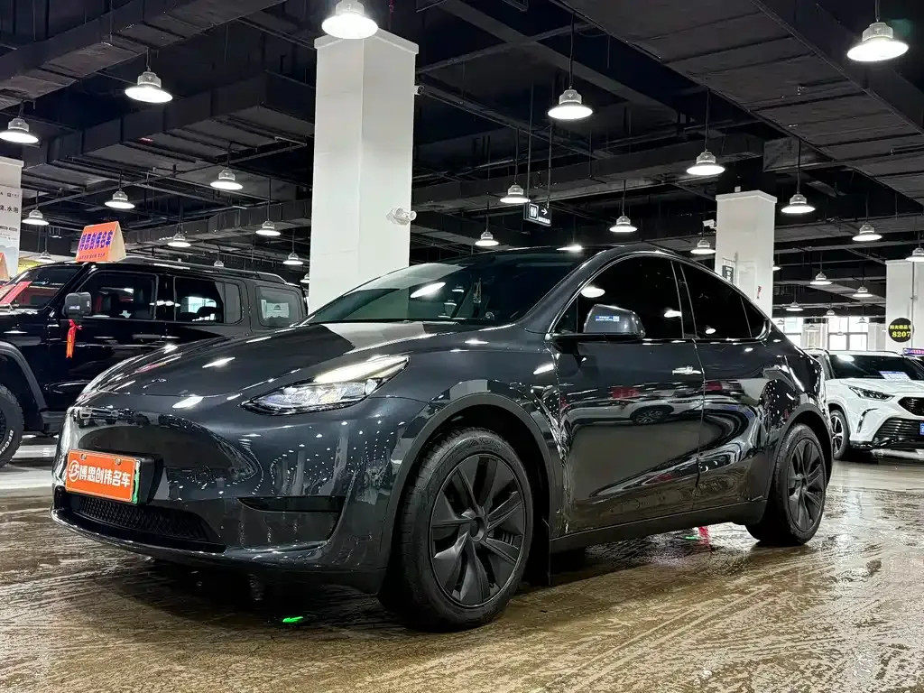 Tesla Model Y — фото 1