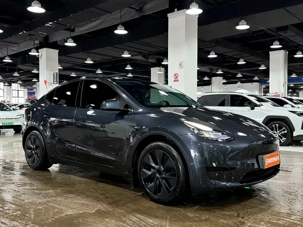 Tesla Model Y — фото 7