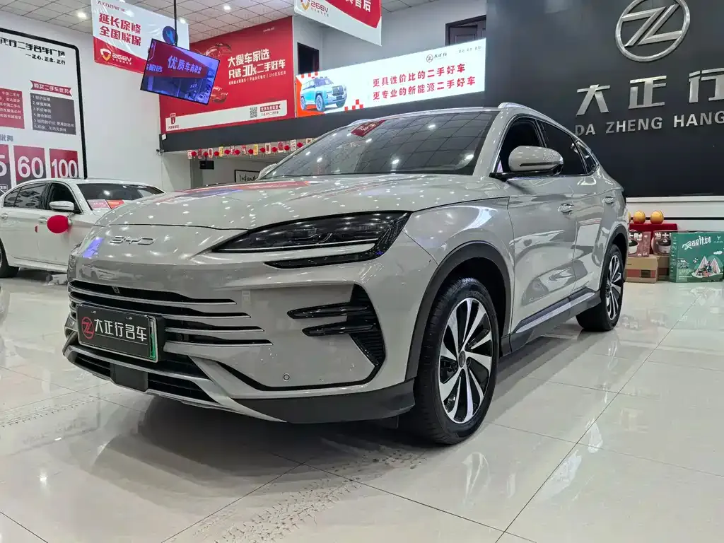 BYD PLUS New Energy — фото 1