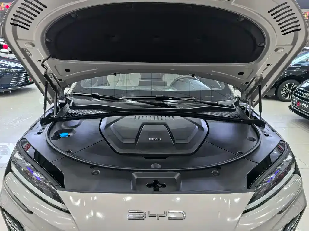 BYD PLUS New Energy — фото 4