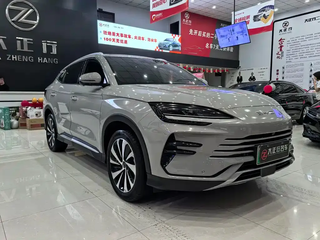 BYD PLUS New Energy — фото 9