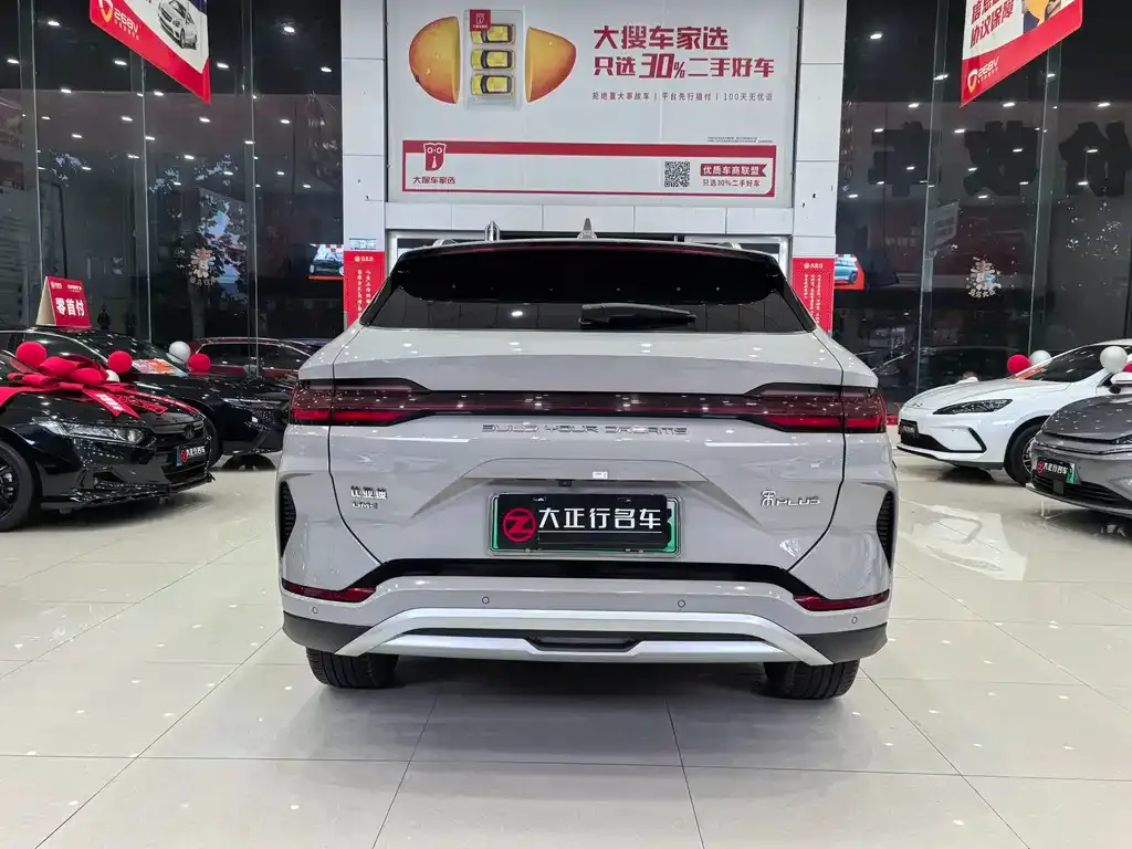 BYD PLUS New Energy — фото 6