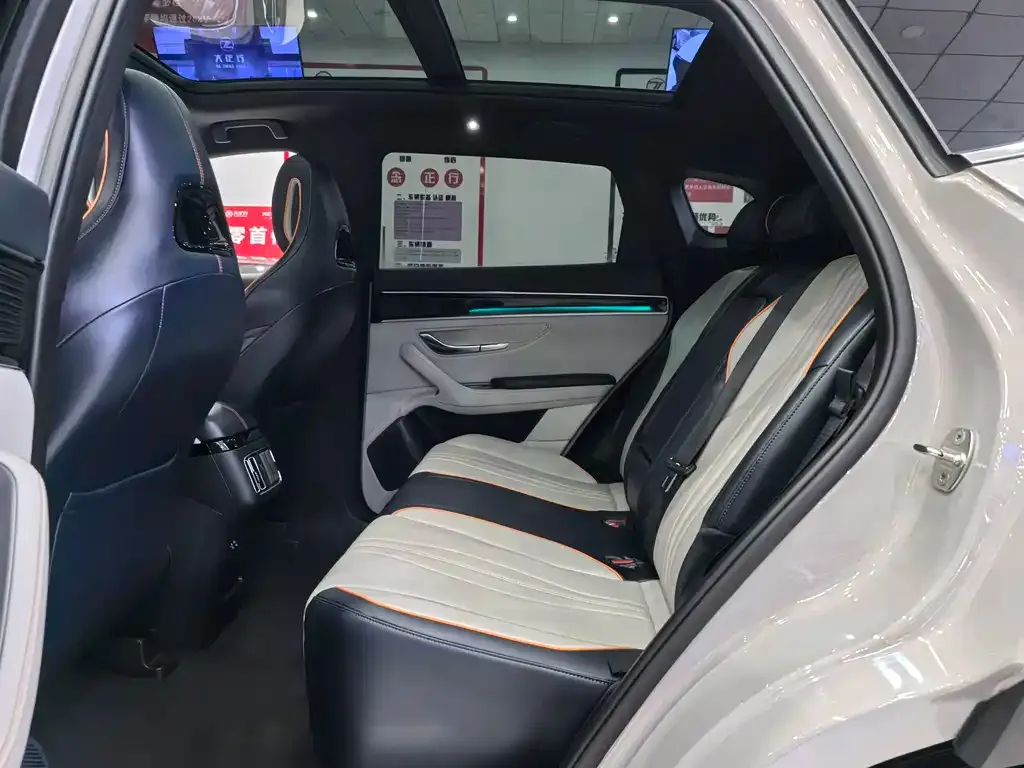 BYD PLUS New Energy — фото 10
