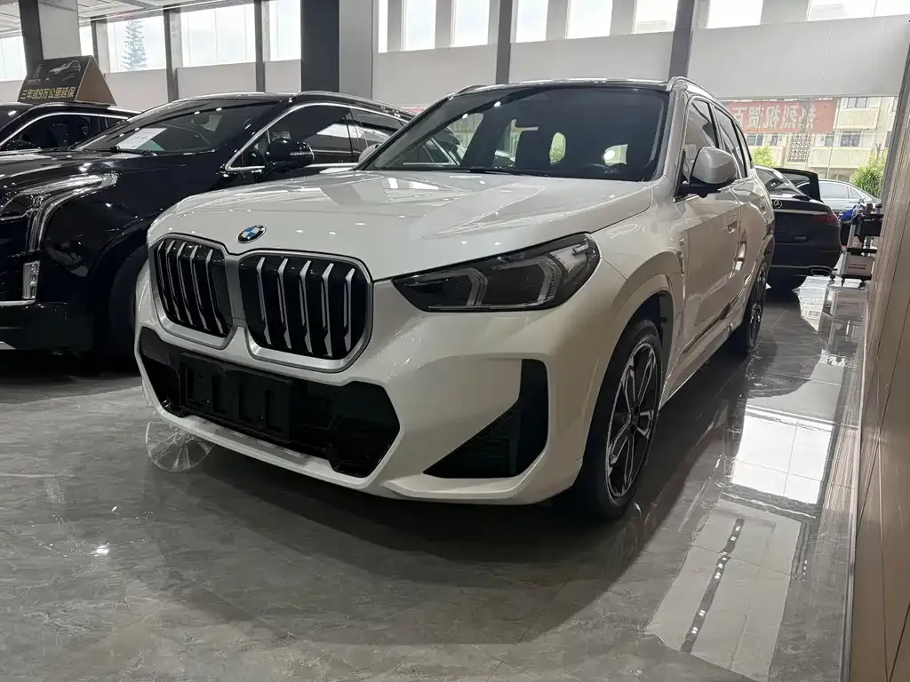 BMW X1 — фото 1