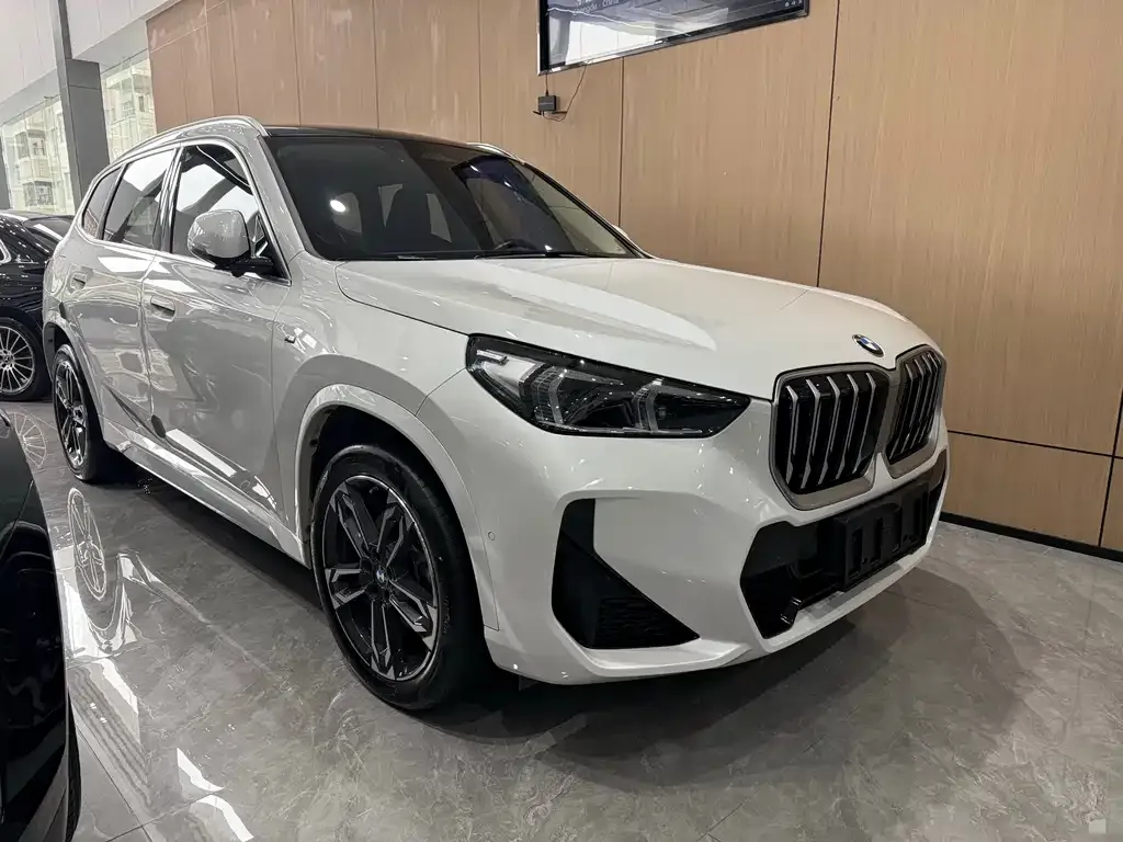 BMW X1 — фото 5