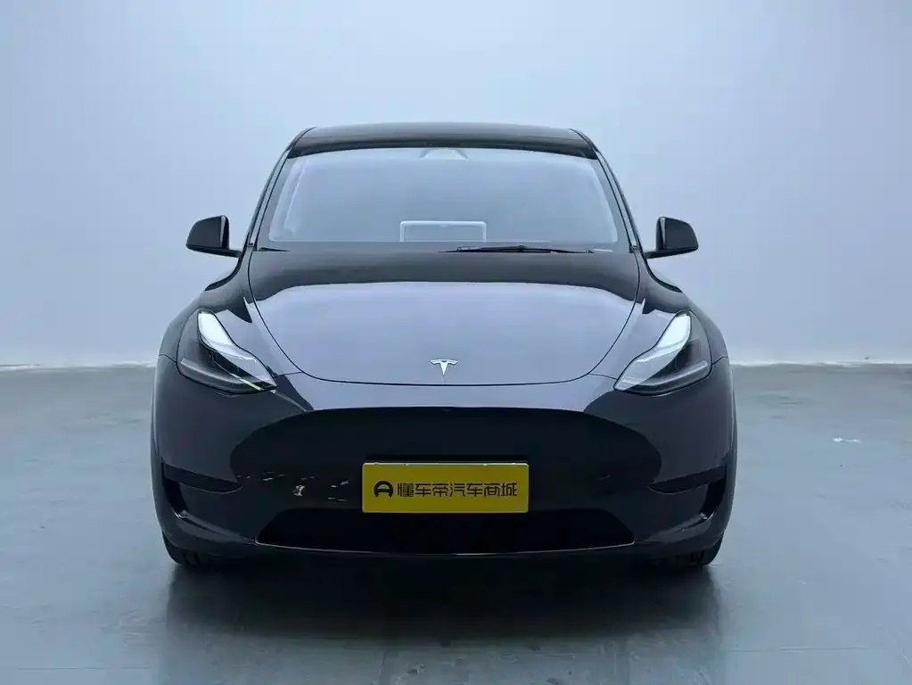 Tesla Model Y — фото 8