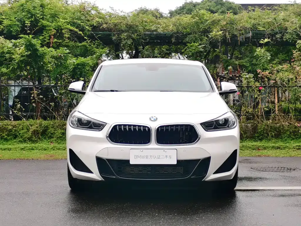 BMW X2 — фото 8