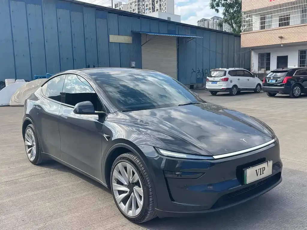 Tesla Model Y — фото 9