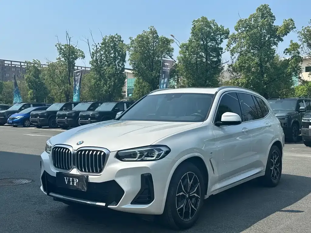 BMW X3 — фото 1