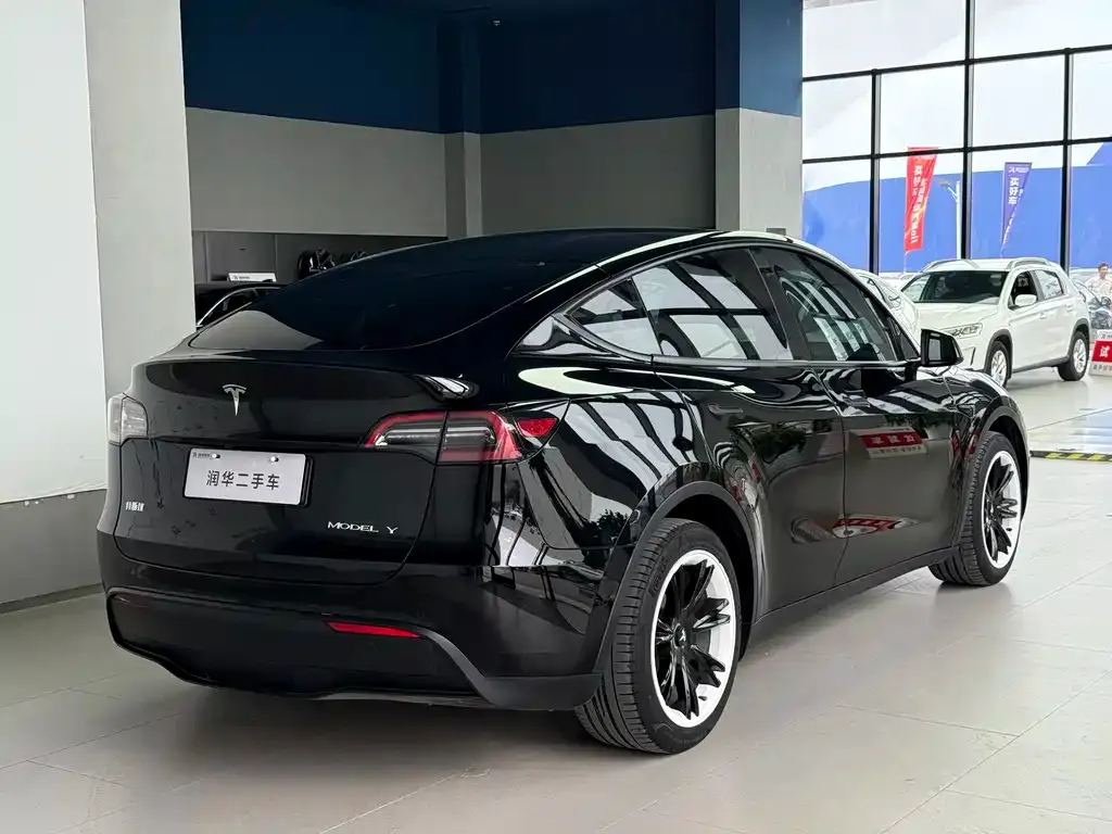 Tesla Model Y — фото 6