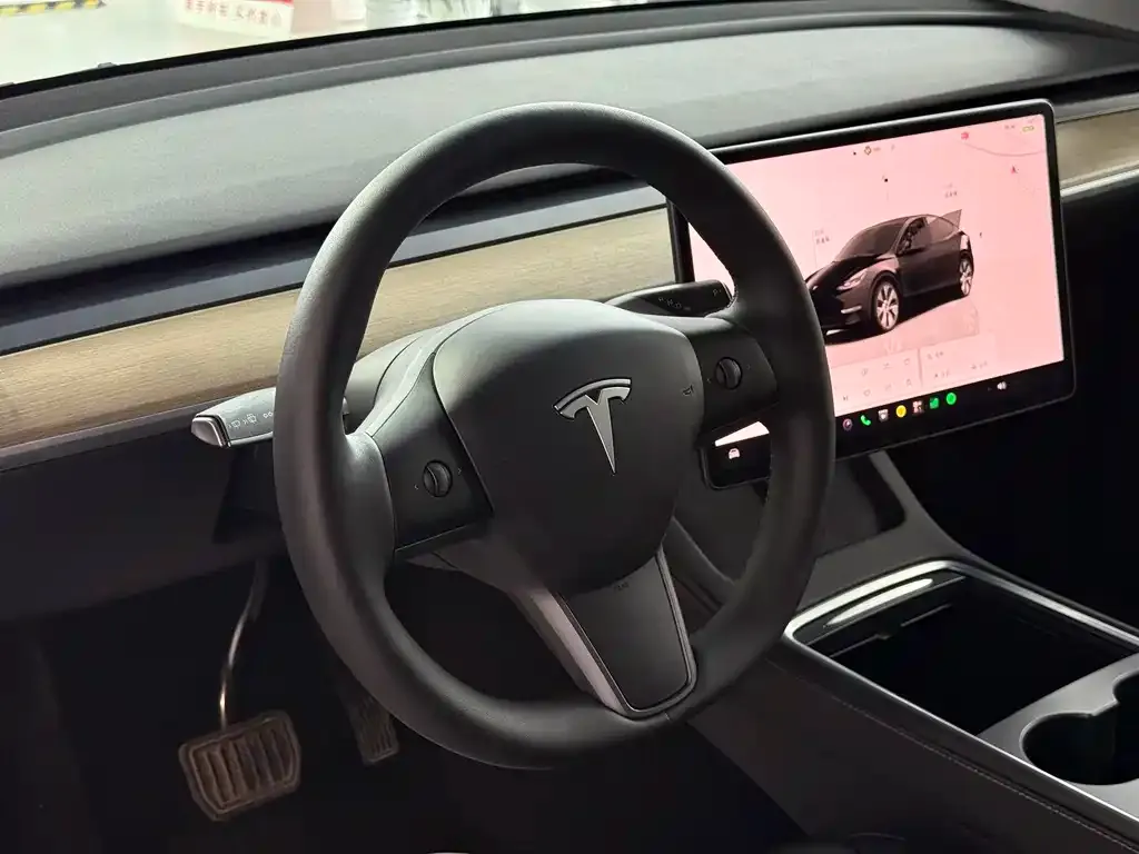 Tesla Model Y — фото 9