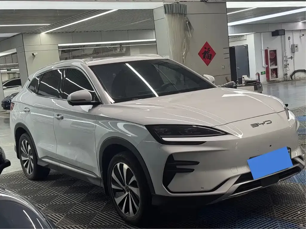 BYD PLUS New Energy — фото 4