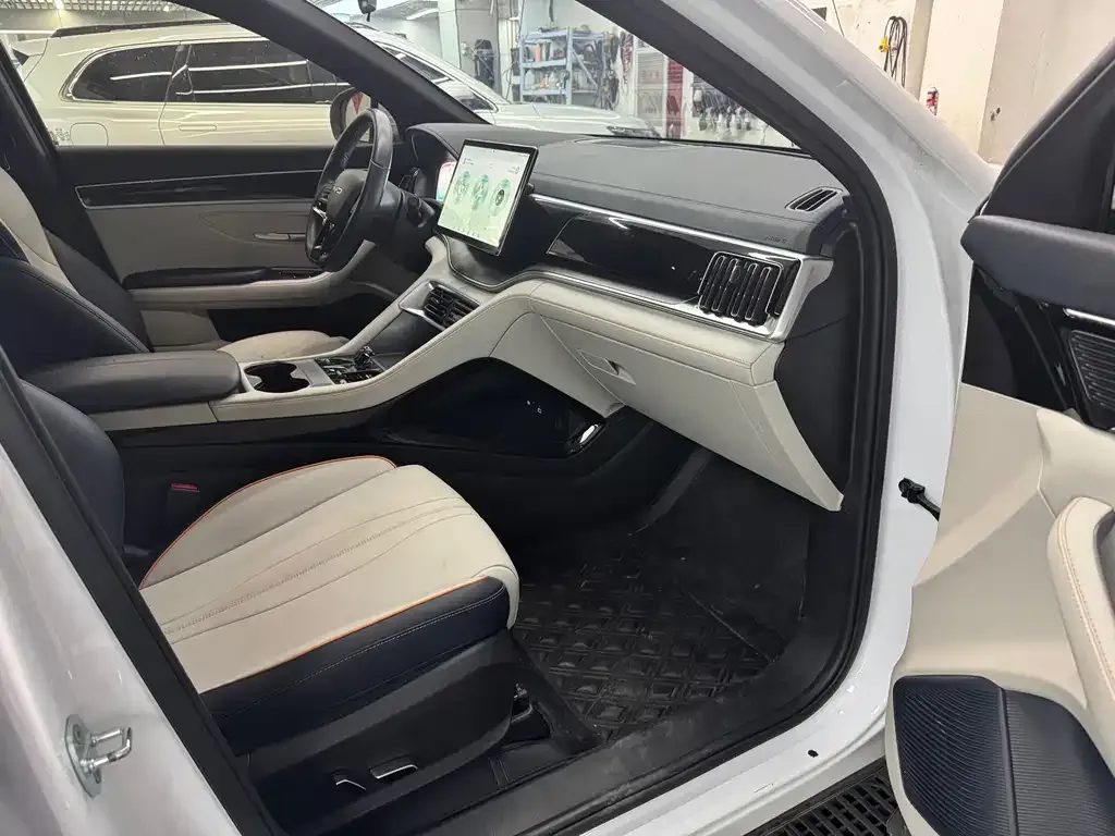 BYD PLUS New Energy — фото 3