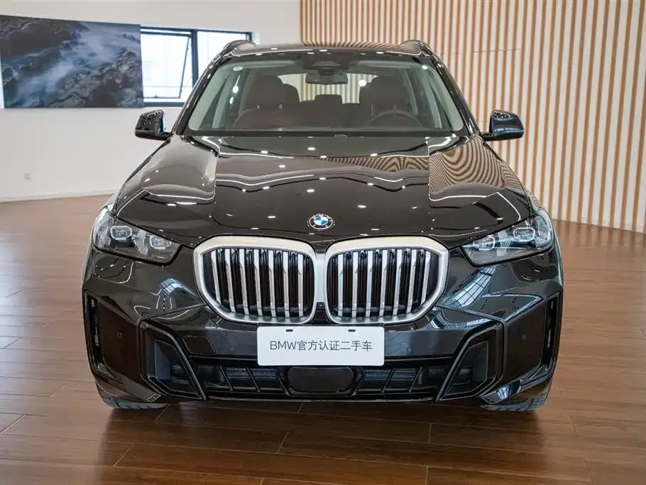 BMW X5 — фото 9