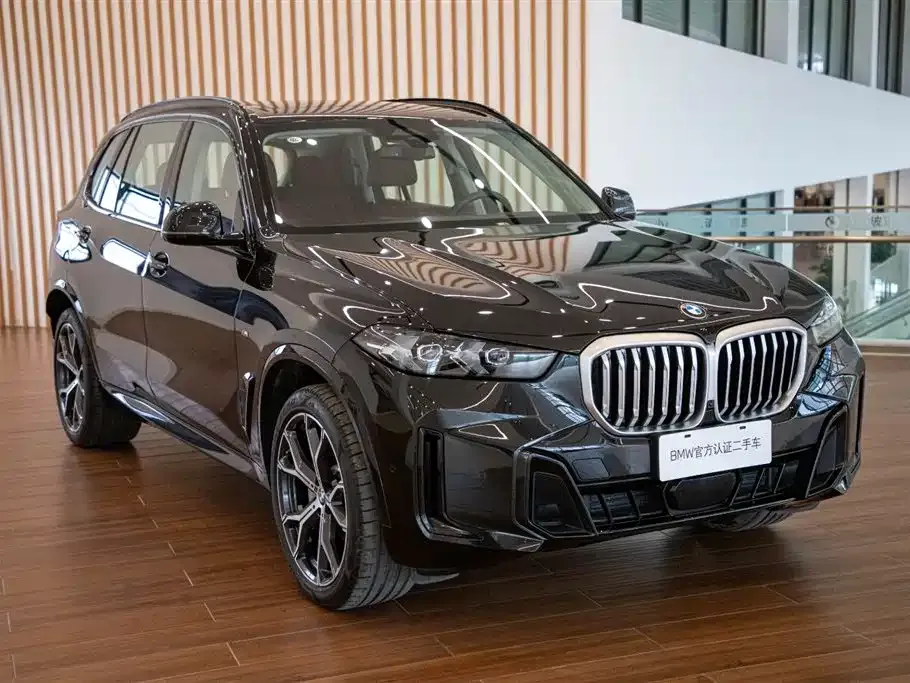BMW X5 — фото 10