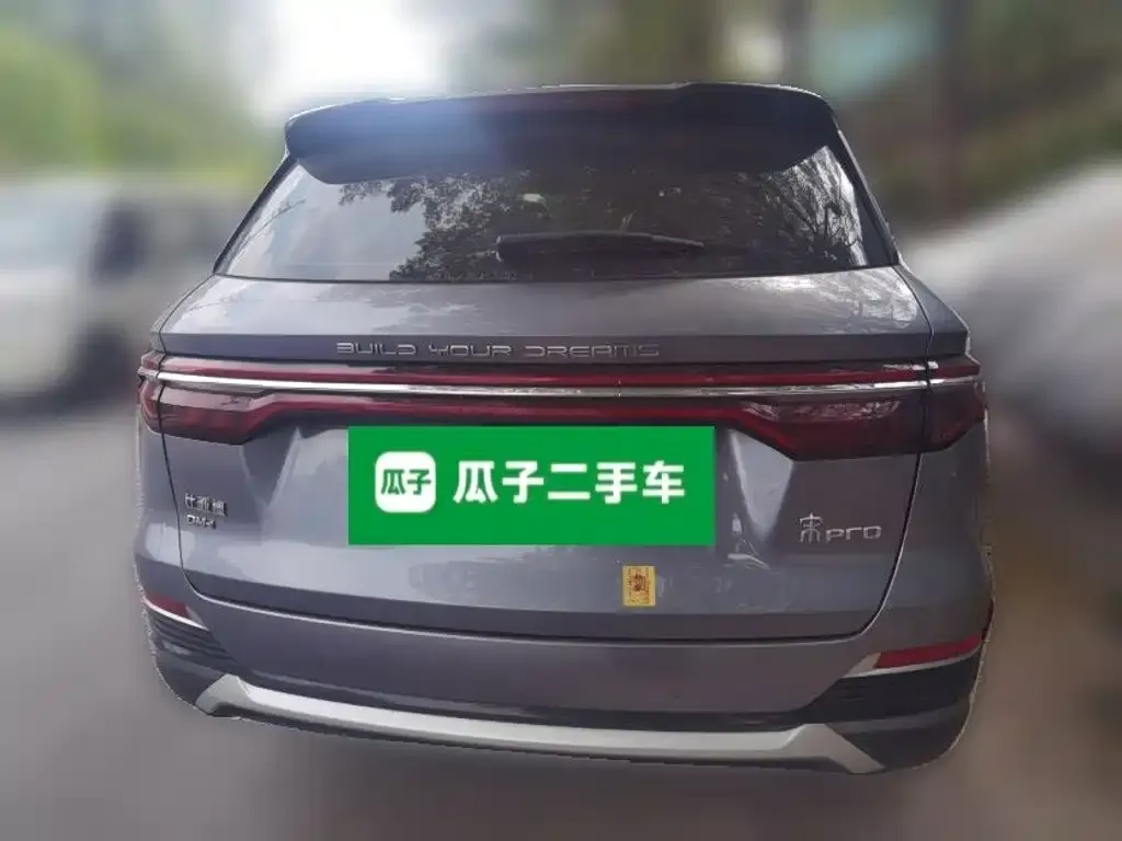 BYD Pro New Energy — фото 4