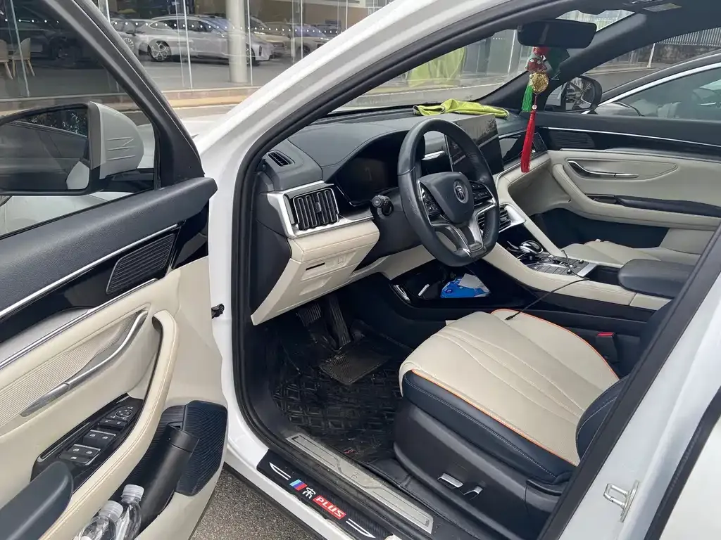 BYD PLUS New Energy — фото 3