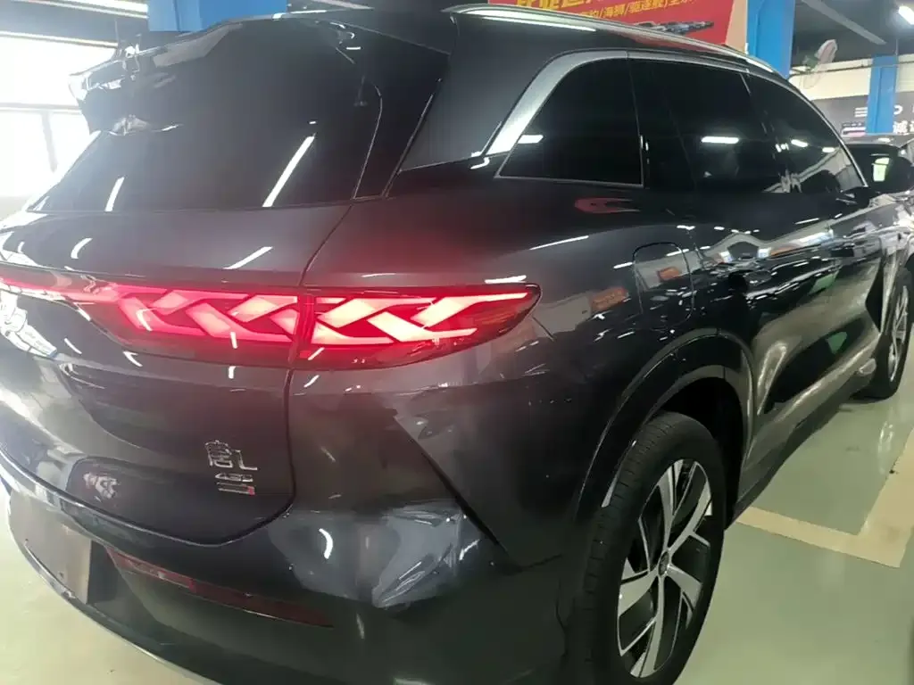 BYD Tang L — фото 10