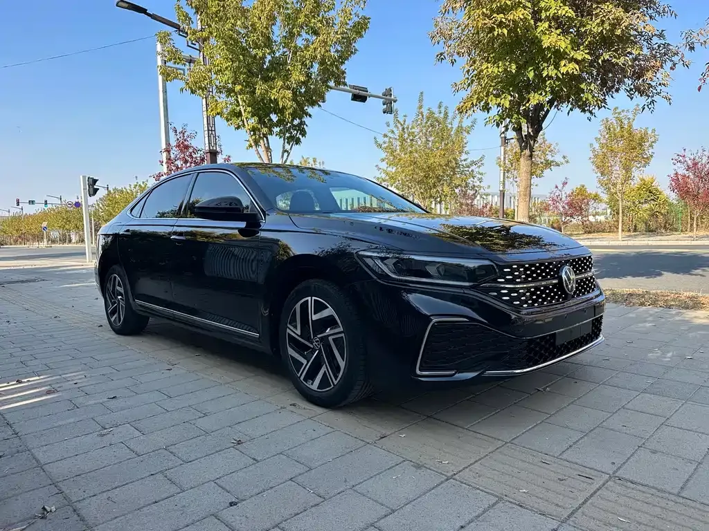 Volkswagen Passat — фото 10