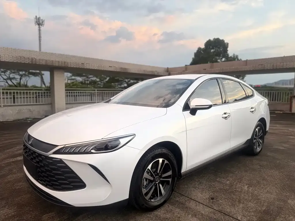 BYD Qin PLUS — фото 1