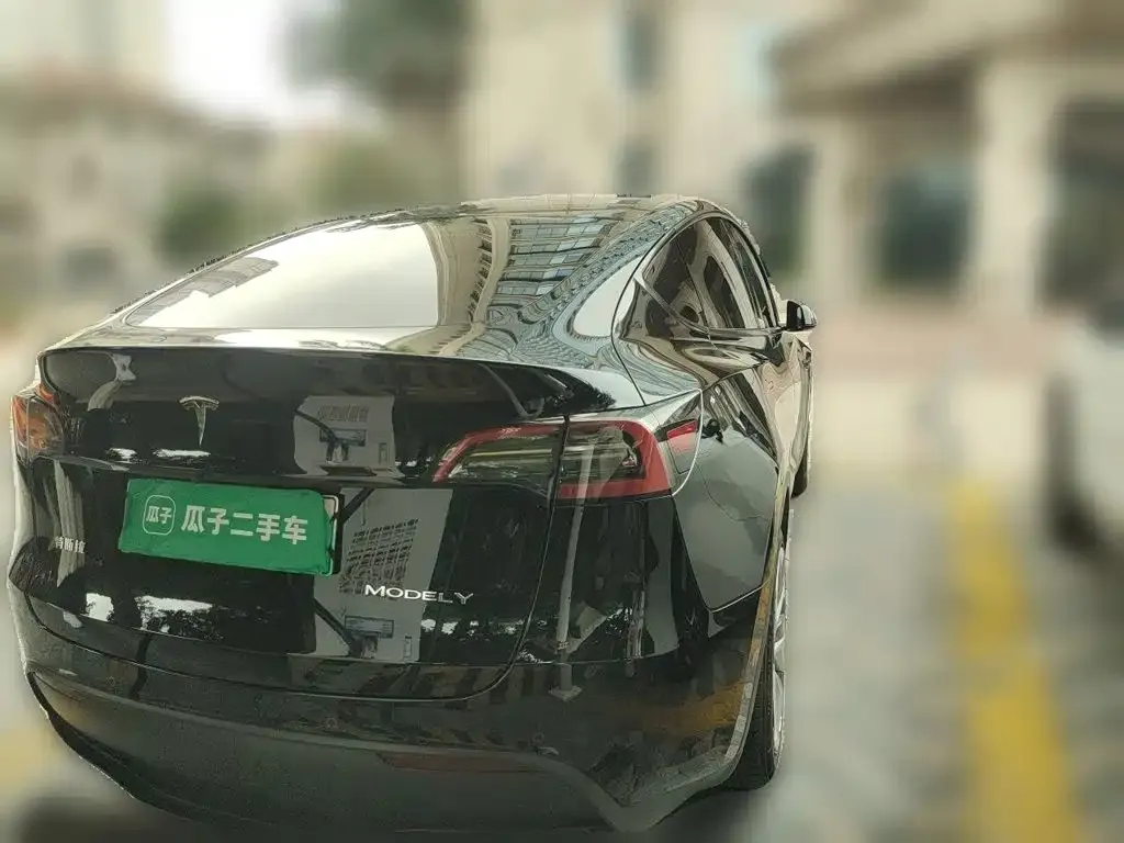 Tesla Model Y — фото 9