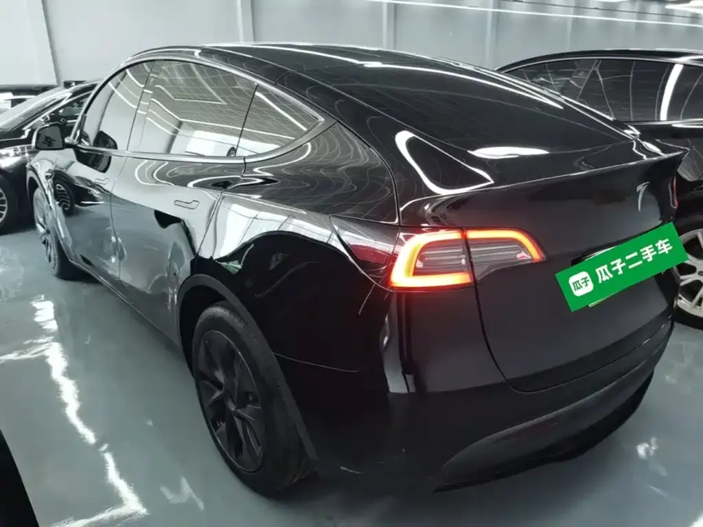 Tesla Model Y — фото 10