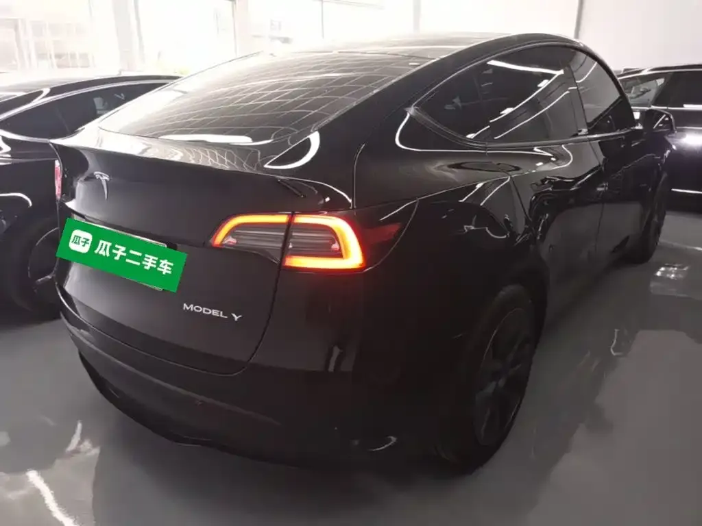 Tesla Model Y — фото 8