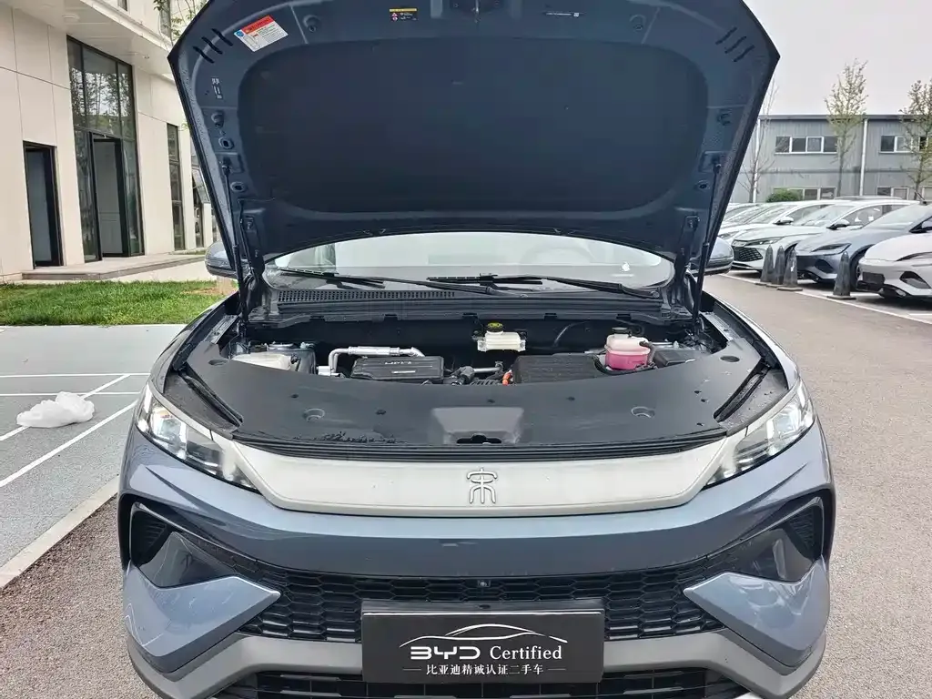 BYD Pro New Energy — фото 10