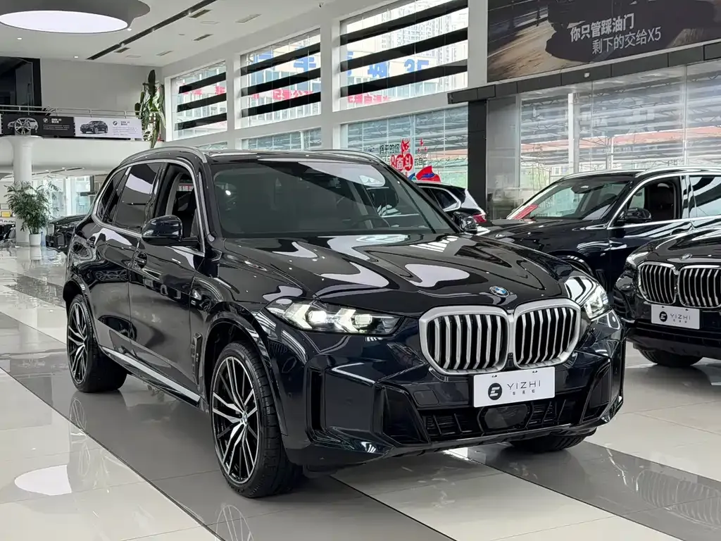 BMW X5 — фото 6