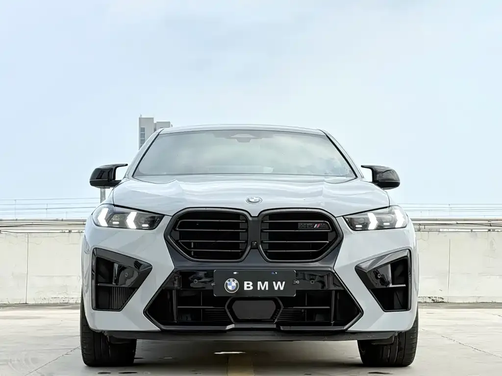 BMW X6 M — фото 3