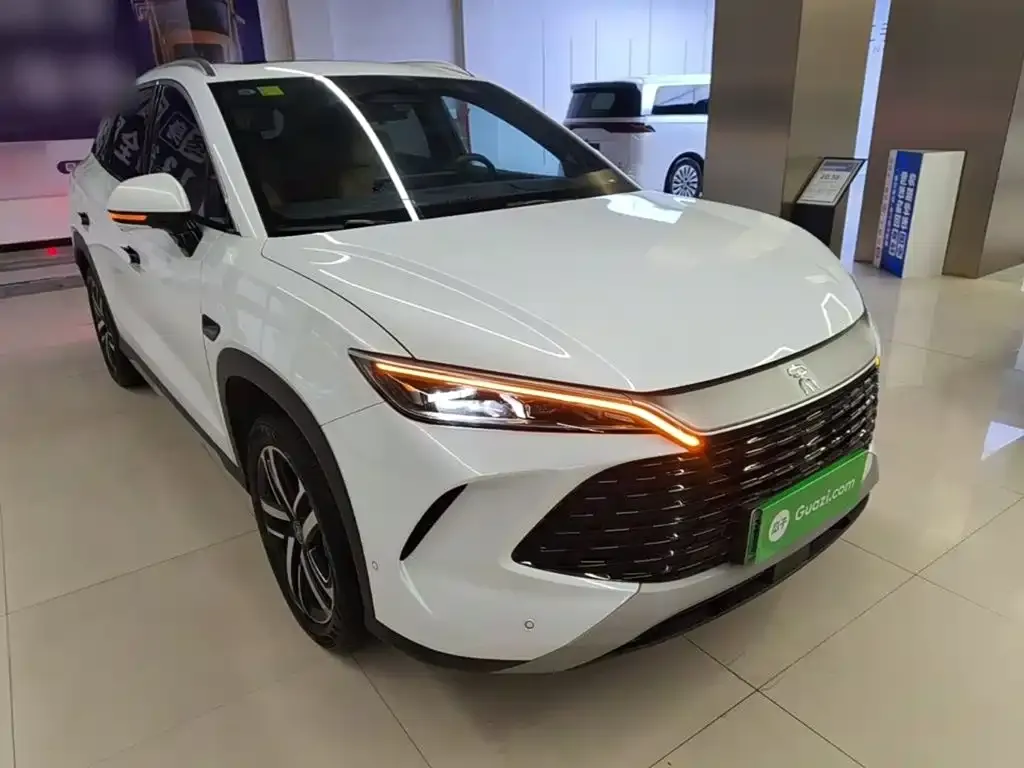 BYD L DM-i — фото 6