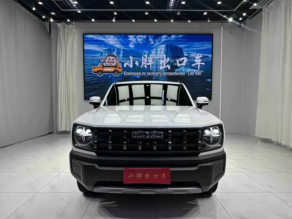 Haval Cool Dog — фото 6